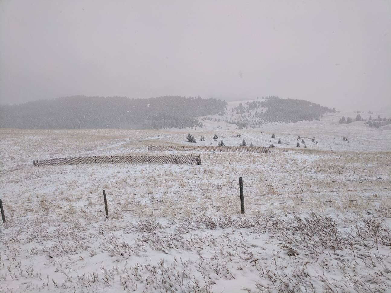 Municipal District of Pincher Creek No. 9